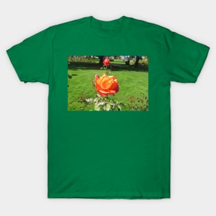 Orange Rose T-Shirt